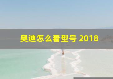 奥迪怎么看型号 2018